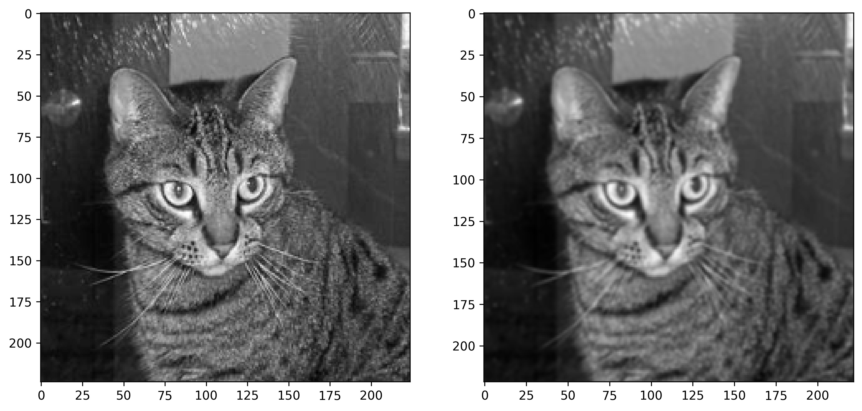 Image 10 — Cat image before and after blurring (image by author)