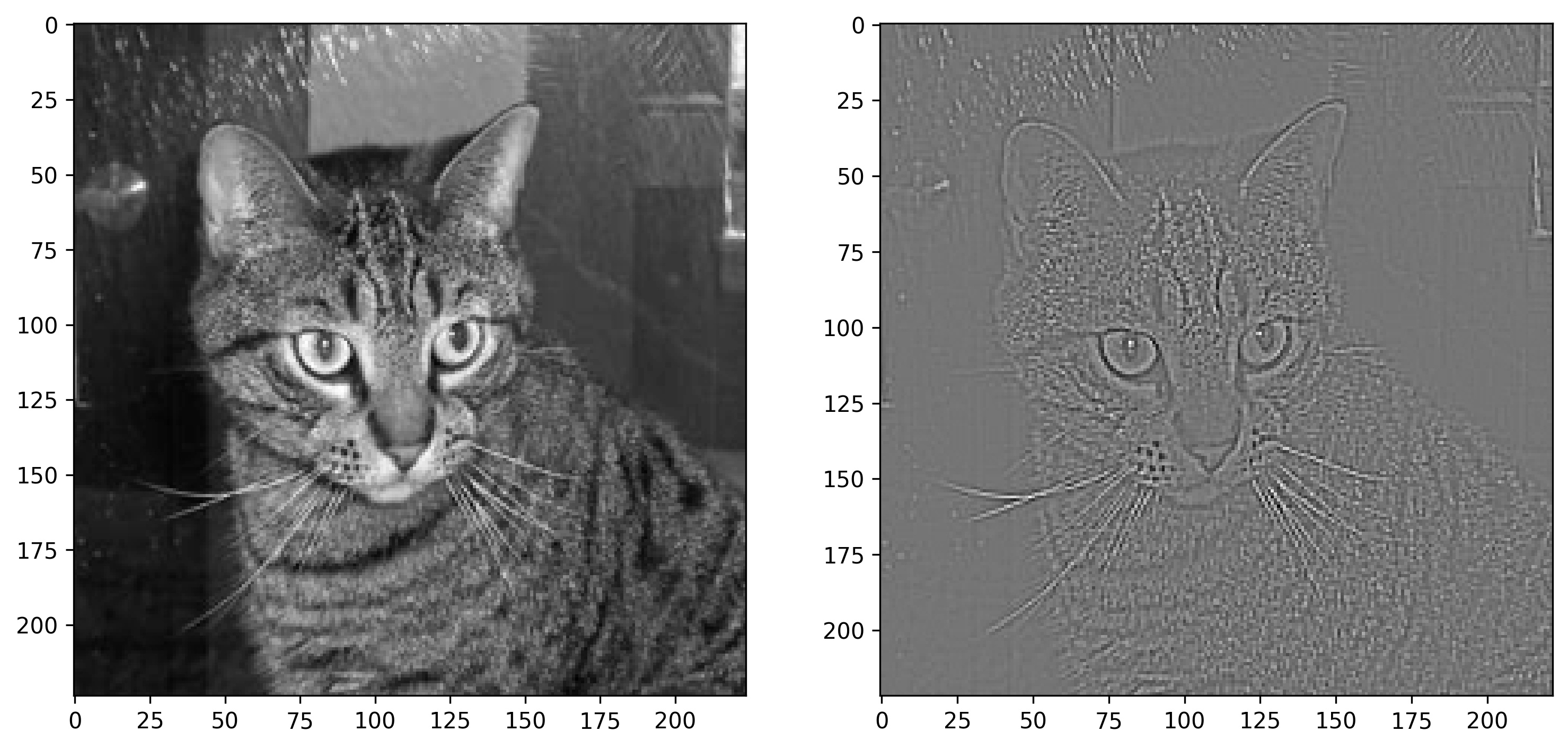 Image 11 — Cat image before and after outlining (image by author)