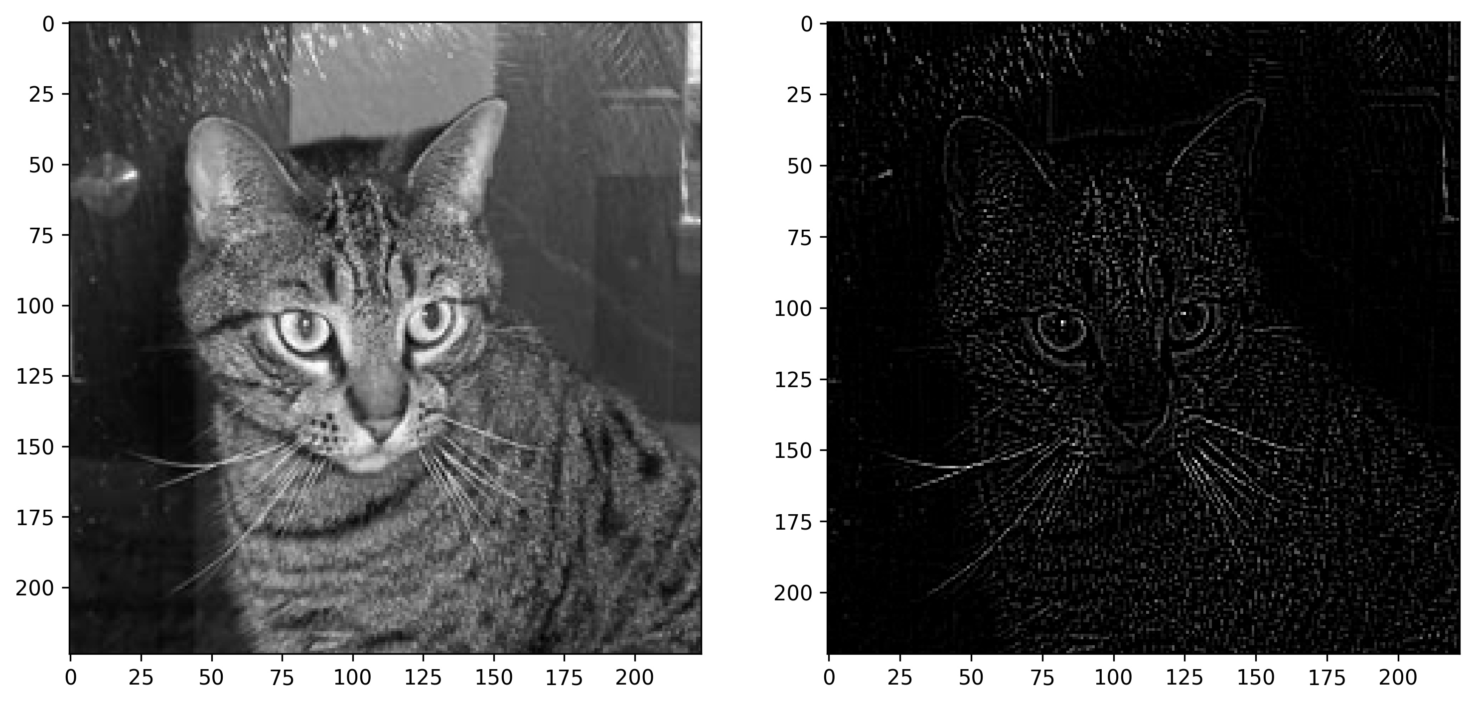 Image 12- Cat image before and after outlining (2) (image by author)