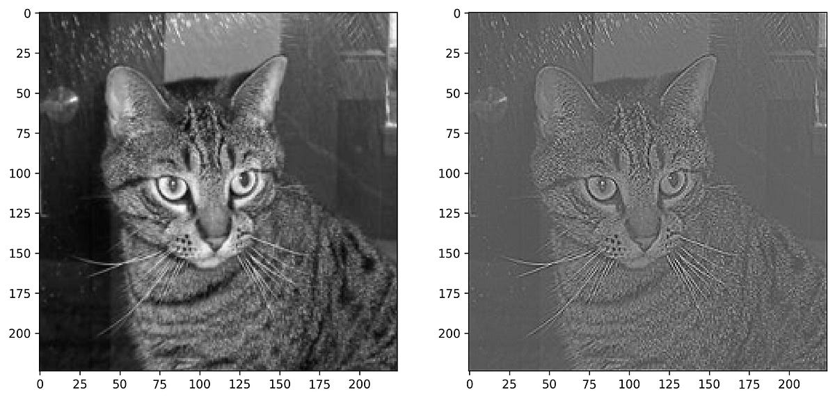 Image 20 — Padded image before and after applying the sharpening filter (image by author)