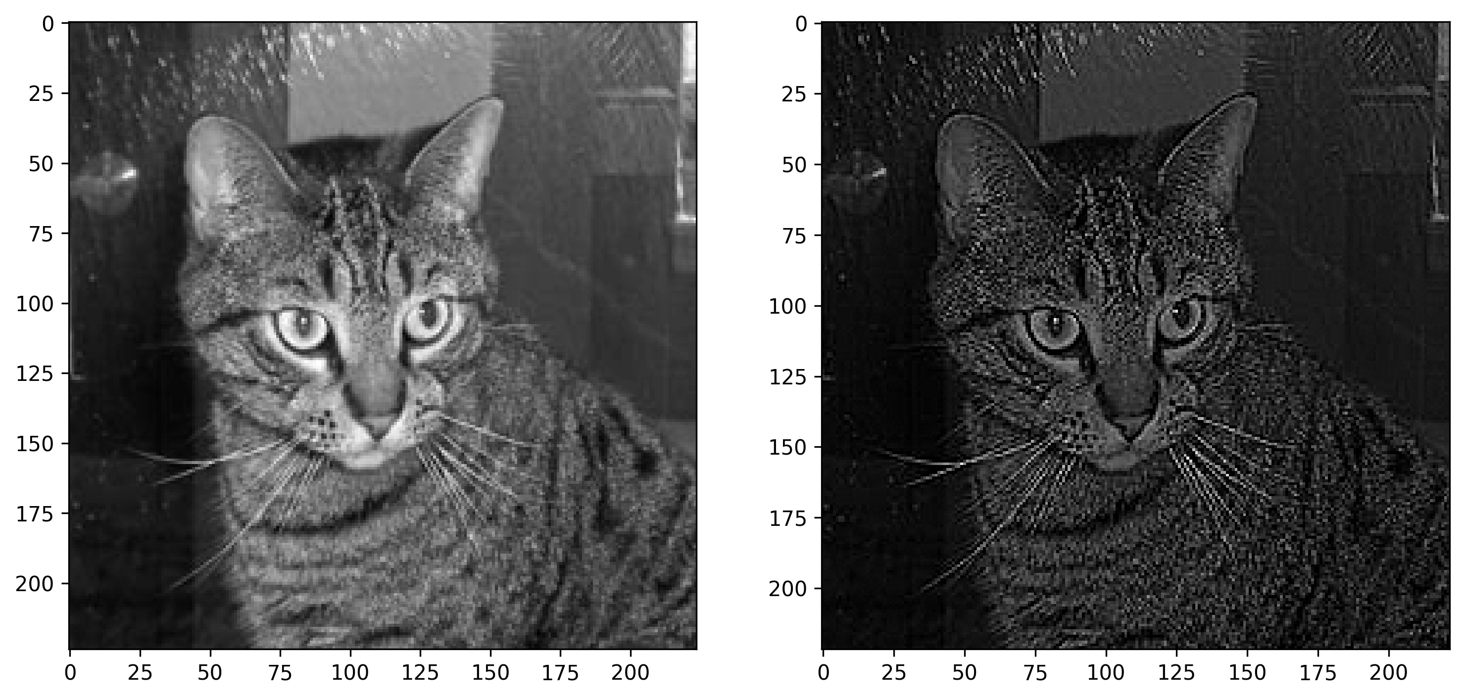 Image 9 — Cat image before and after sharpening (2) (image by author)