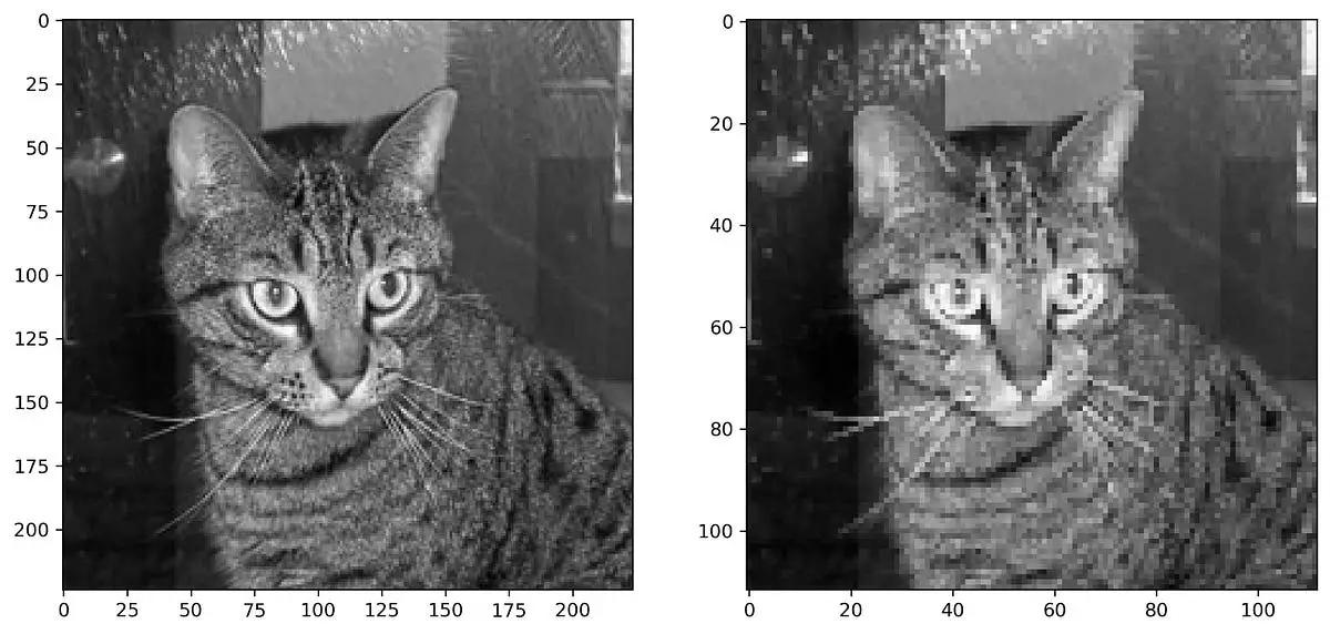 Image 13 — Cat image before and after max pooling (image by author)