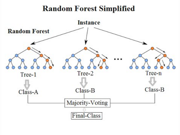 Image 2 — Random forest diagram