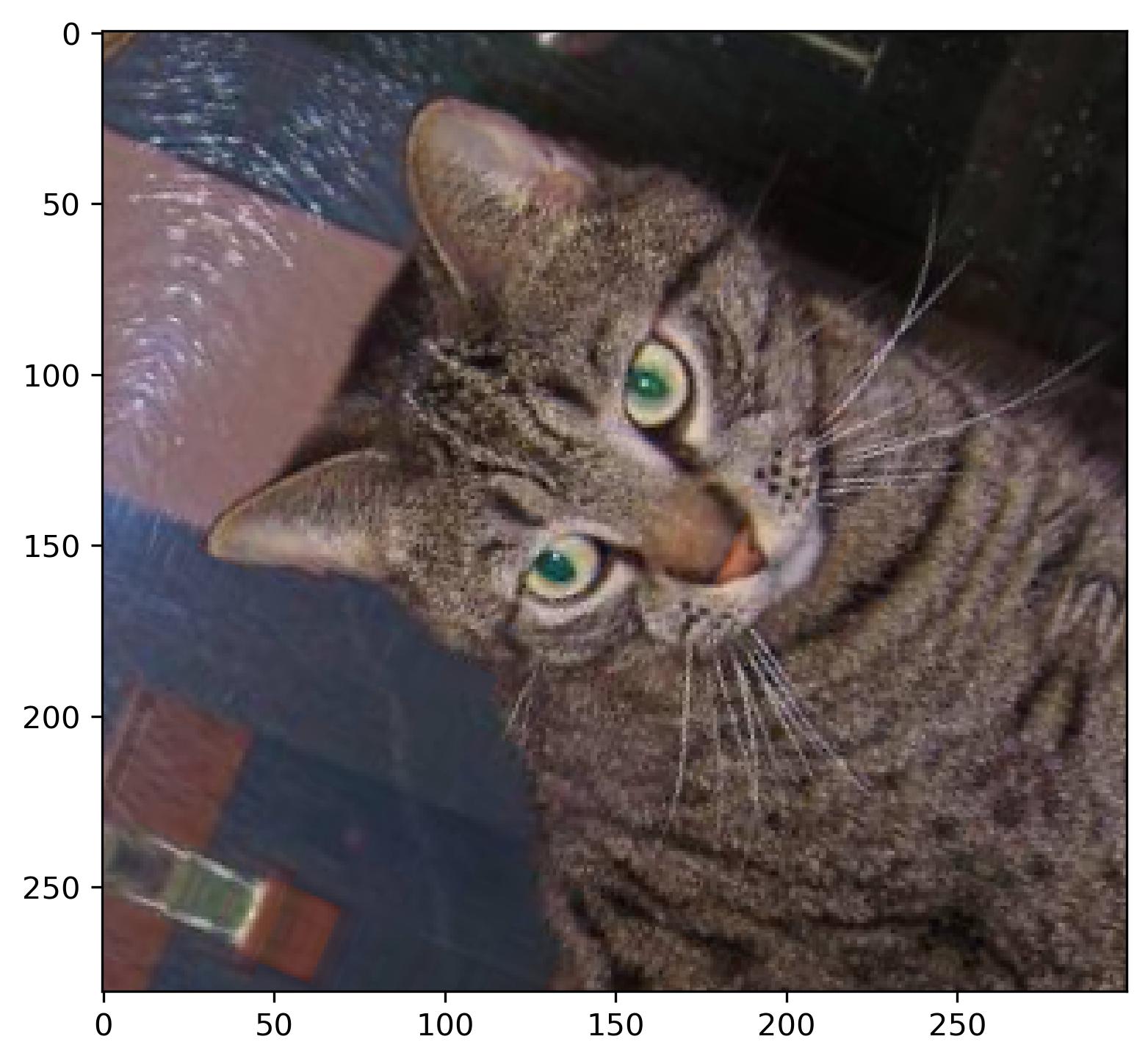 Image 4 - Cat image after flipping and rotating (image by author)