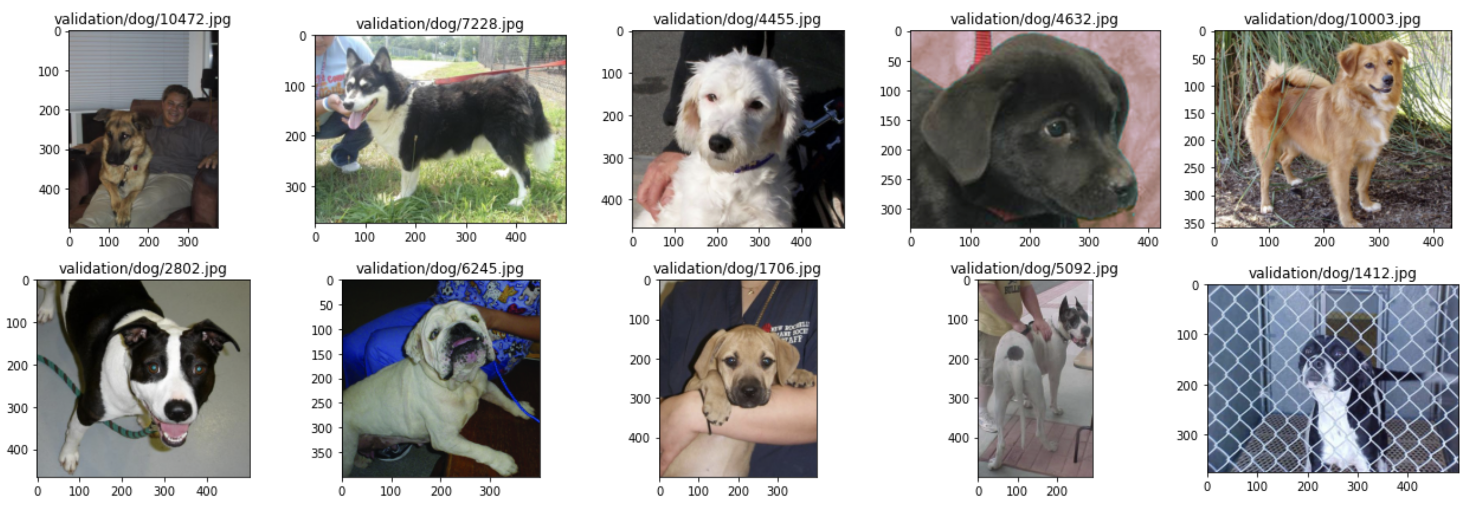 Image 7 — Random subset of dog images (image by author)